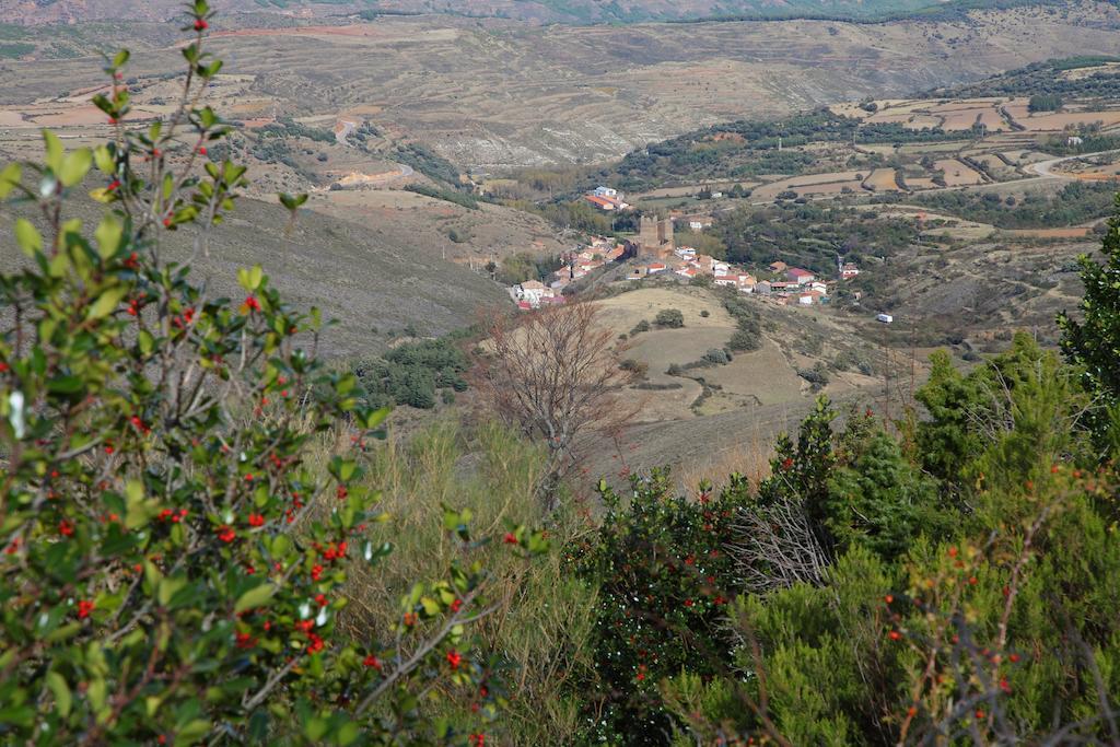 Vivienda Turistica Los Mesones Ágreda Eksteriør billede